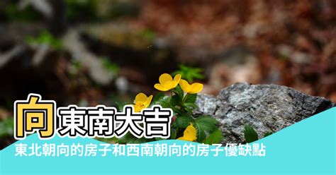 東北向西南|【東北 西南 朝向的房子】東北西南朝向的房子好嗎？。